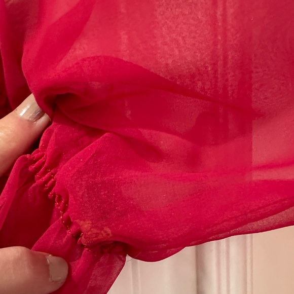 Sheer Raspberry Cover-Up with Matching Neglige - Picture 4 of 11